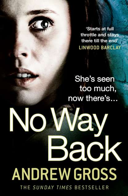 Скачать книгу No Way Back