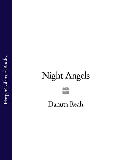 Скачать книгу Night Angels