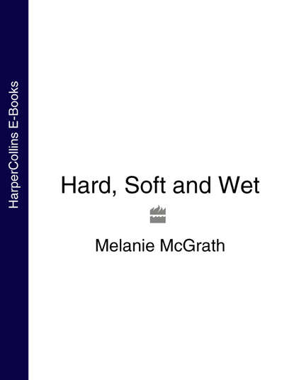 Скачать книгу Hard, Soft and Wet