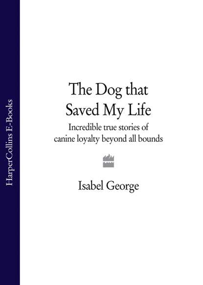 Скачать книгу The Dog that Saved My Life: Incredible true stories of canine loyalty beyond all bounds