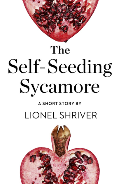 Скачать книгу The Self-Seeding Sycamore: A Short Story from the collection, Reader, I Married Him