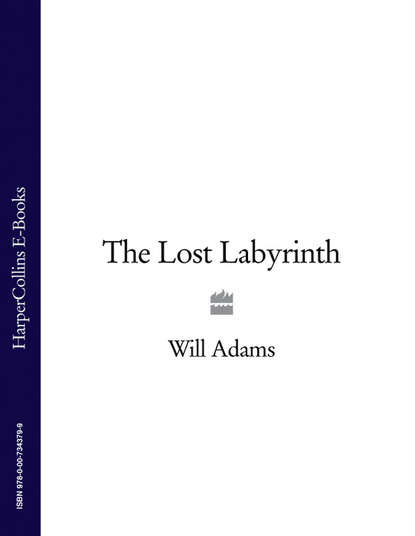 Скачать книгу The Lost Labyrinth