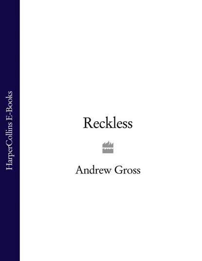 Скачать книгу Reckless