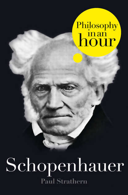 Скачать книгу Schopenhauer: Philosophy in an Hour
