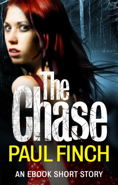 Скачать книгу The Chase: an ebook short story