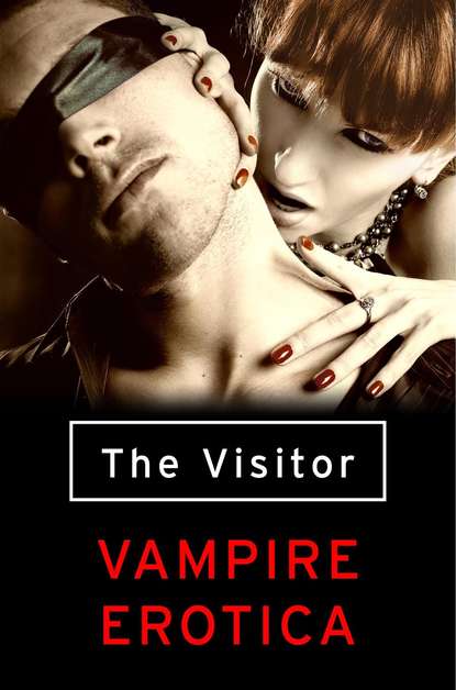 Скачать книгу The Visitor: Vampire Erotica
