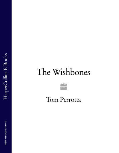 Скачать книгу The Wishbones