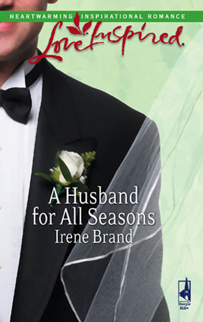 Скачать книгу A Husband for All Seasons