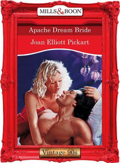 Скачать книгу Apache Dream Bride