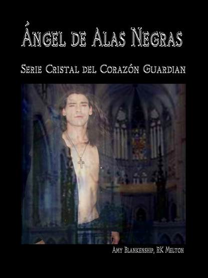 Скачать книгу Ángel De Alas Negras
