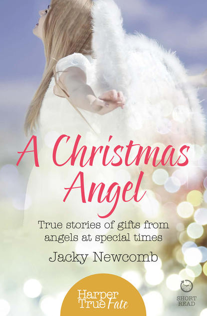 Скачать книгу A Christmas Angel: True Stories of Gifts from Angels at Special Times