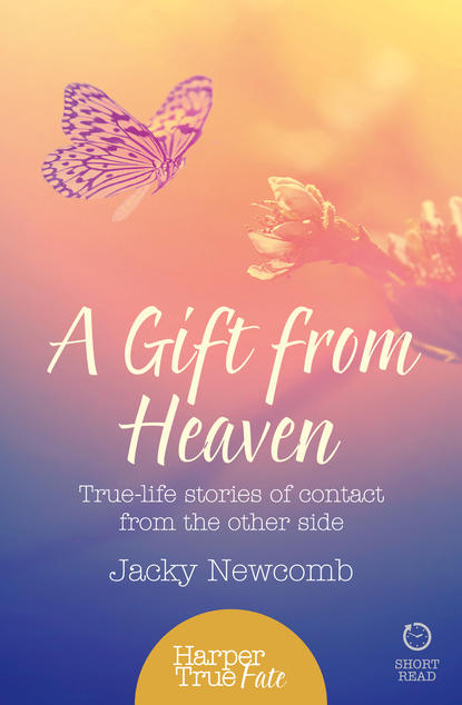 Скачать книгу A Gift from Heaven: True-life stories of contact from the other side