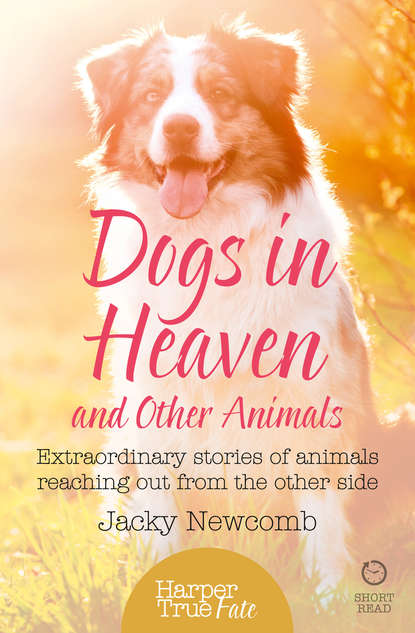 Скачать книгу Dogs in Heaven: and Other Animals: Extraordinary stories of animals reaching out from the other side