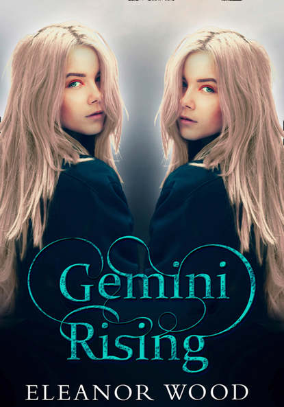 Скачать книгу Gemini Rising