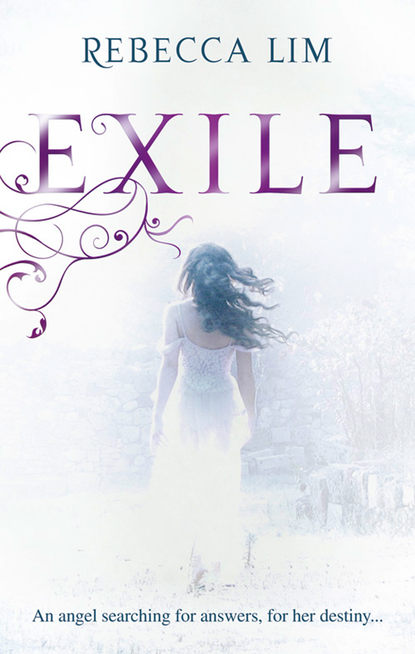 Скачать книгу Exile