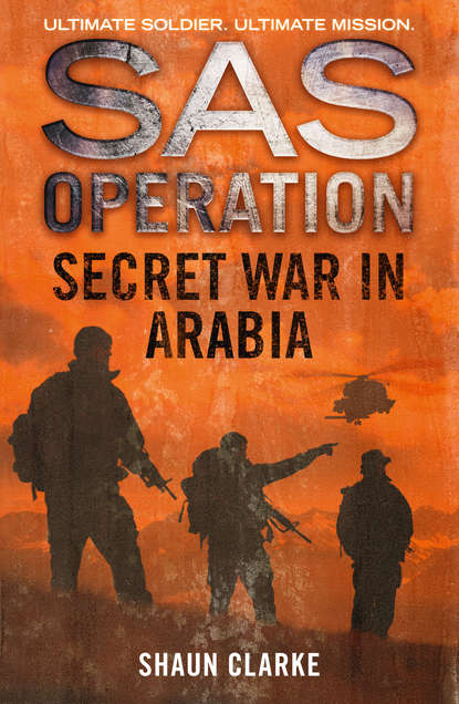 Скачать книгу Secret War in Arabia