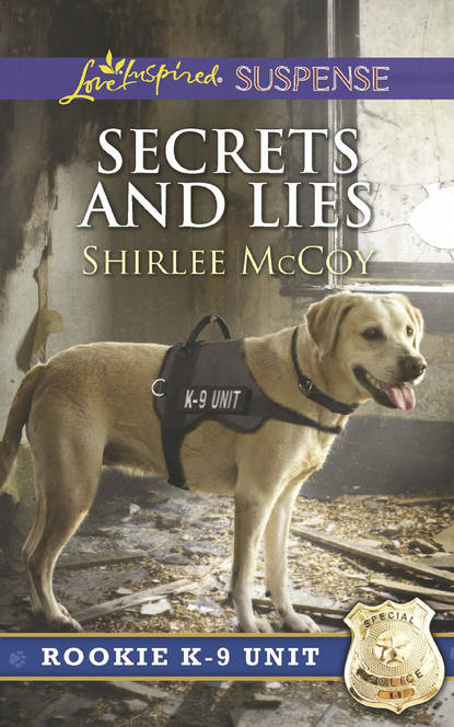 Скачать книгу Secrets And Lies