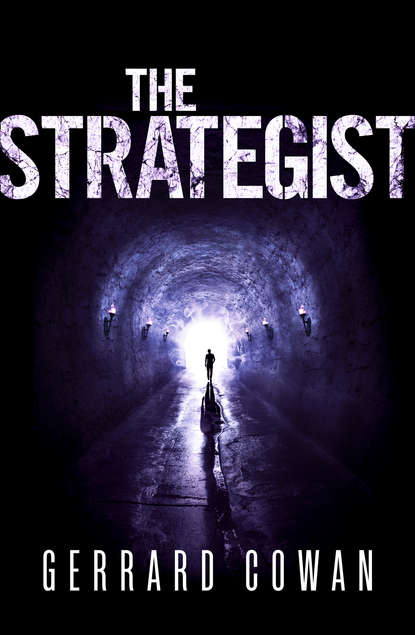 Скачать книгу The Strategist