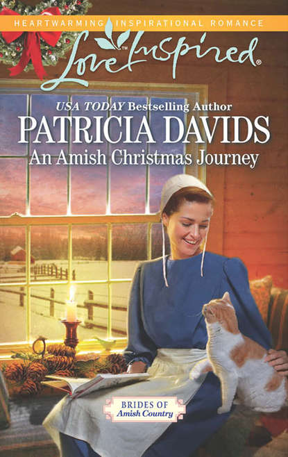 An Amish Christmas Journey