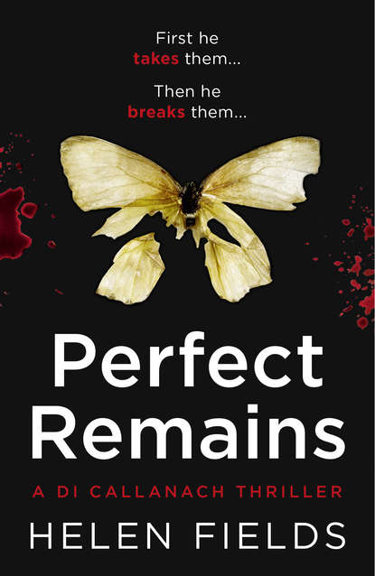 Скачать книгу Perfect Remains: A gripping thriller that will leave you breathless