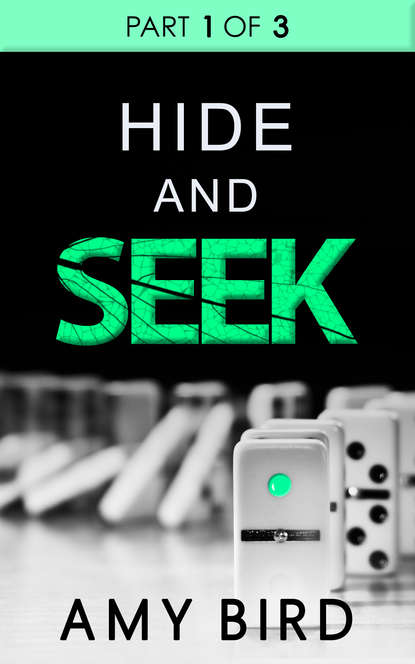 Скачать книгу Hide And Seek