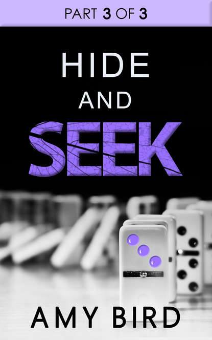 Скачать книгу Hide And Seek