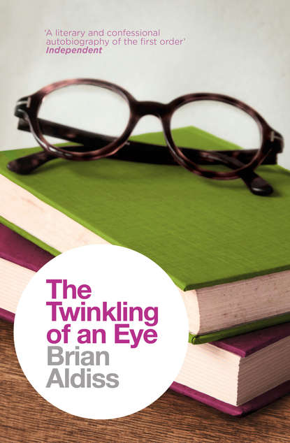 Скачать книгу The Twinkling of an Eye