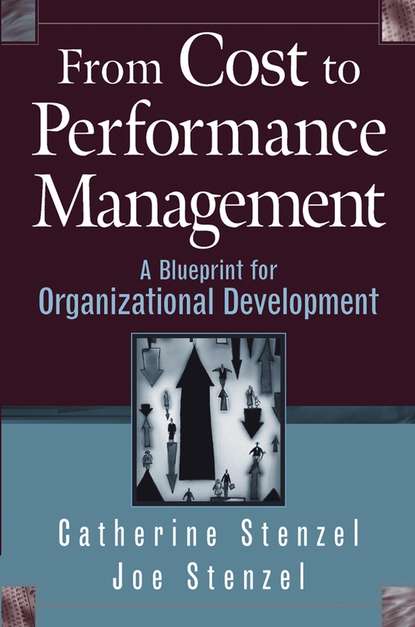 Скачать книгу From Cost to Performance Management