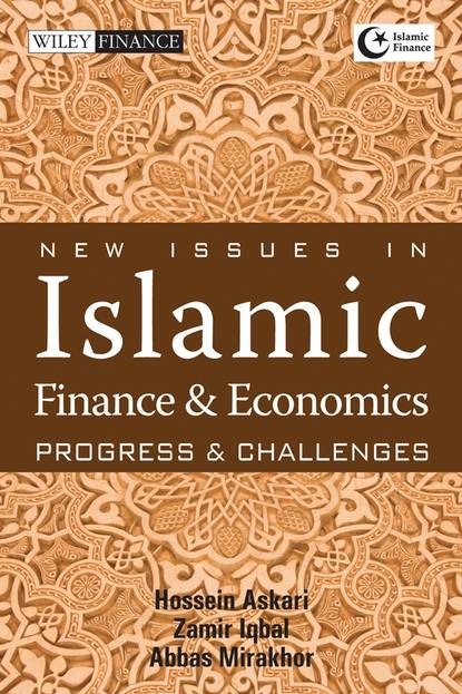 Скачать книгу New Issues in Islamic Finance and Economics