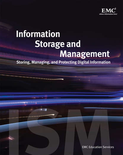 Скачать книгу Information Storage and Management
