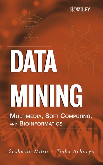 Скачать книгу Data Mining