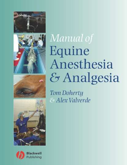 Скачать книгу Manual of Equine Anesthesia and Analgesia