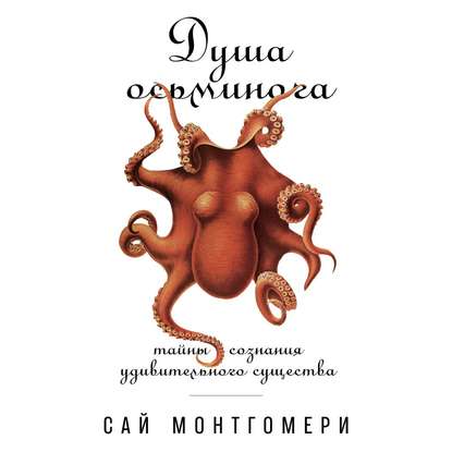 Скачать книгу Душа осьминога: Тайны сознания удивительного существа
