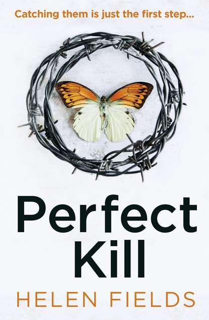 Скачать книгу Perfect Kill