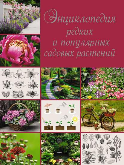 Скачать книгу Энциклопедия редких и популярных садовых растений