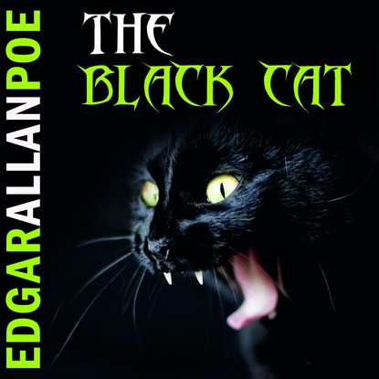 Скачать книгу The Black Cat