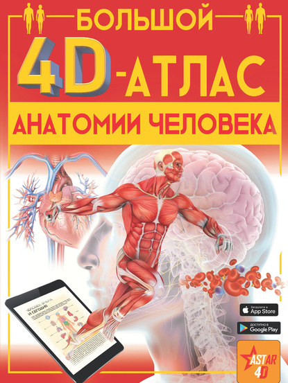 Скачать книгу Большой 4D-атлас анатомии человека