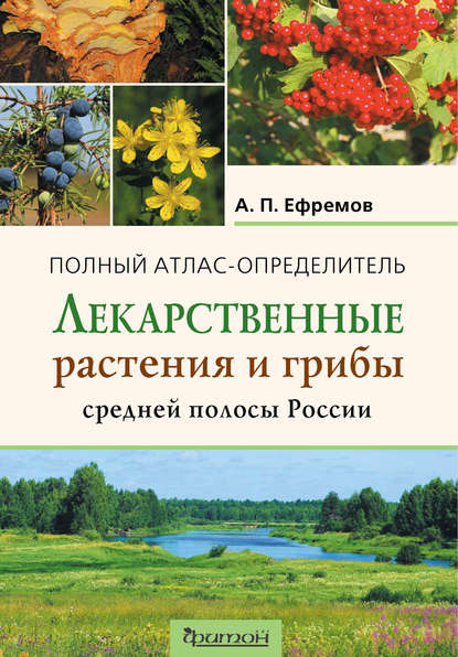 Скачать книгу Лекарственные растения и грибы средней полосы России