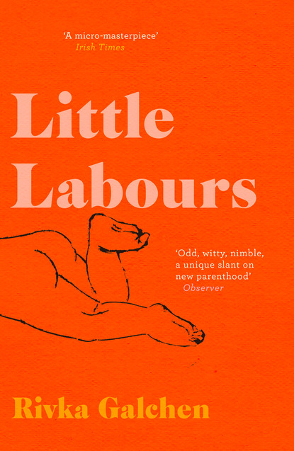 Скачать книгу Little Labours