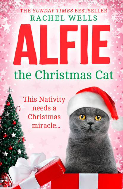 Скачать книгу Alfie the Christmas Cat