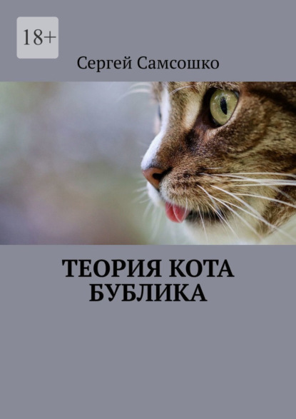 Скачать книгу Теория кота Бублика