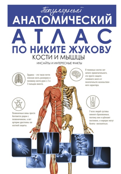 Скачать книгу Популярный анатомический атлас по Никите Жукову. Кости и мышцы. Инсайды и интересные факты